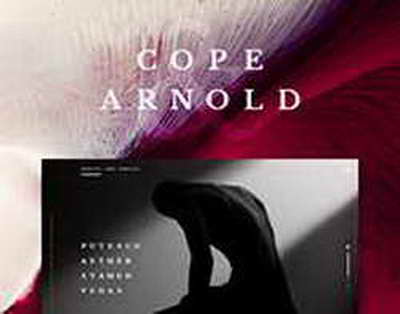 Выставка «Виражи творчества» Виктора Юхмана откроется 16 октября в брянском Городском выставочном зале